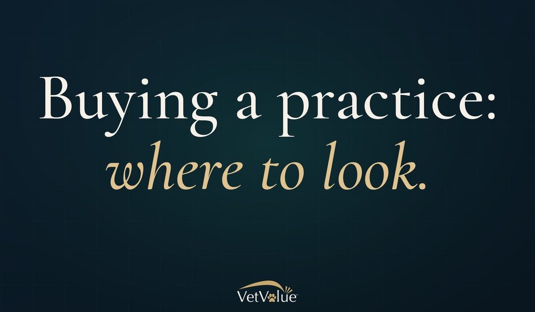 Buying a Veterinary Practice – Where to Look