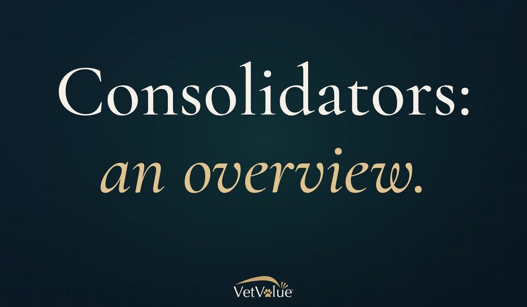 Overview of Veterinary Practice Consolidators
