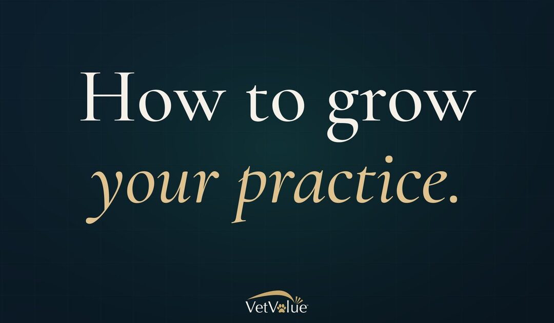 How to Grow Your Veterinary Practice
