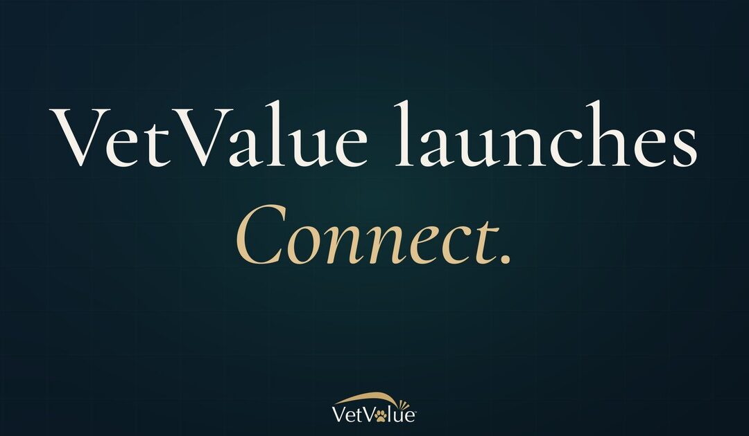 VetValue Launches VetValue Connect to Support Veterinary Practice Owners