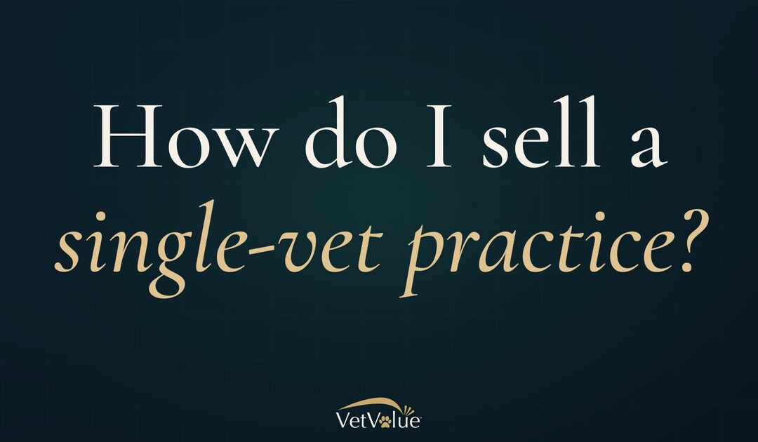 How Do I Sell a Single Veterinarian Practice?
