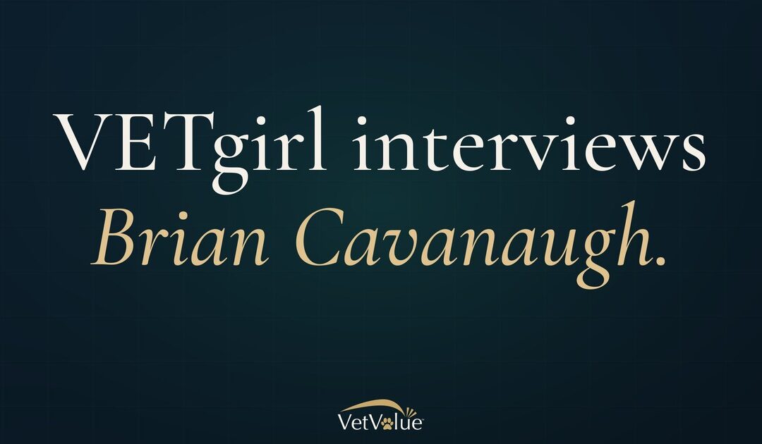 Planning for Your Veterinary Practice Sale, VETgirl Interviews Brian Cavanaugh