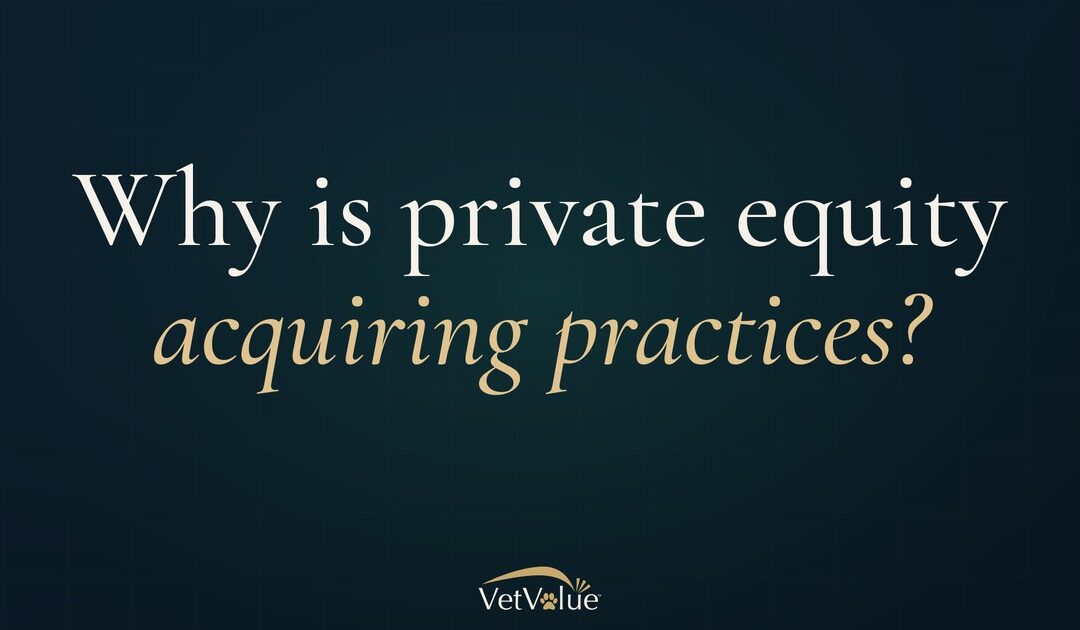 Why is Private Equity Acquiring Veterinary Practices?